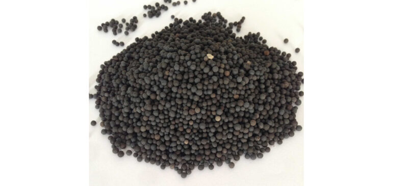 Аммофос (NP 10:46)